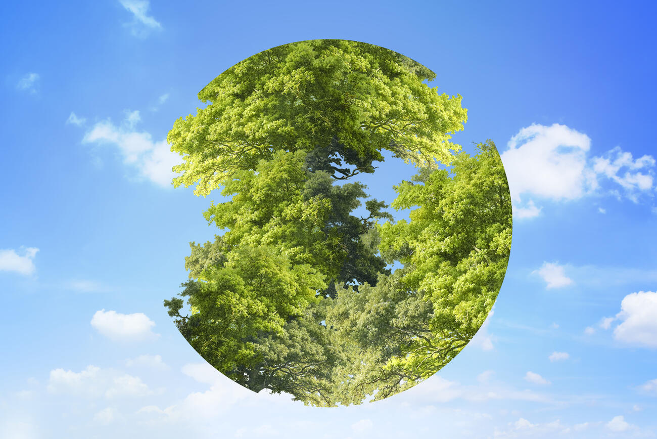 Earth day graphic trees in globe circle shape on sky background 